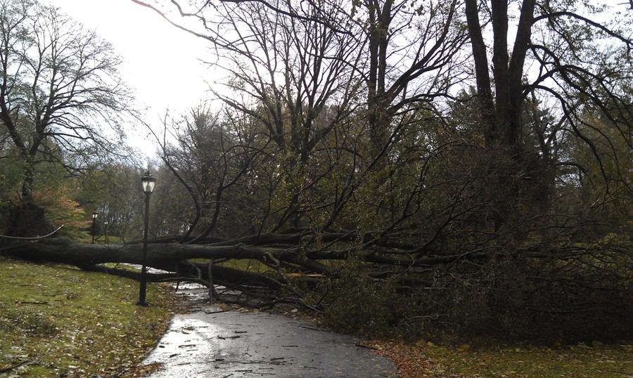 Hurricane Sandy