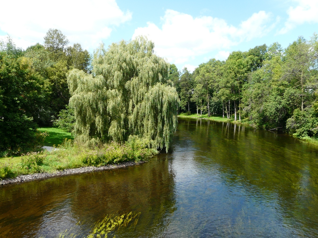 Chancellor’s Diary September 4, 2013 Orthodox Church in