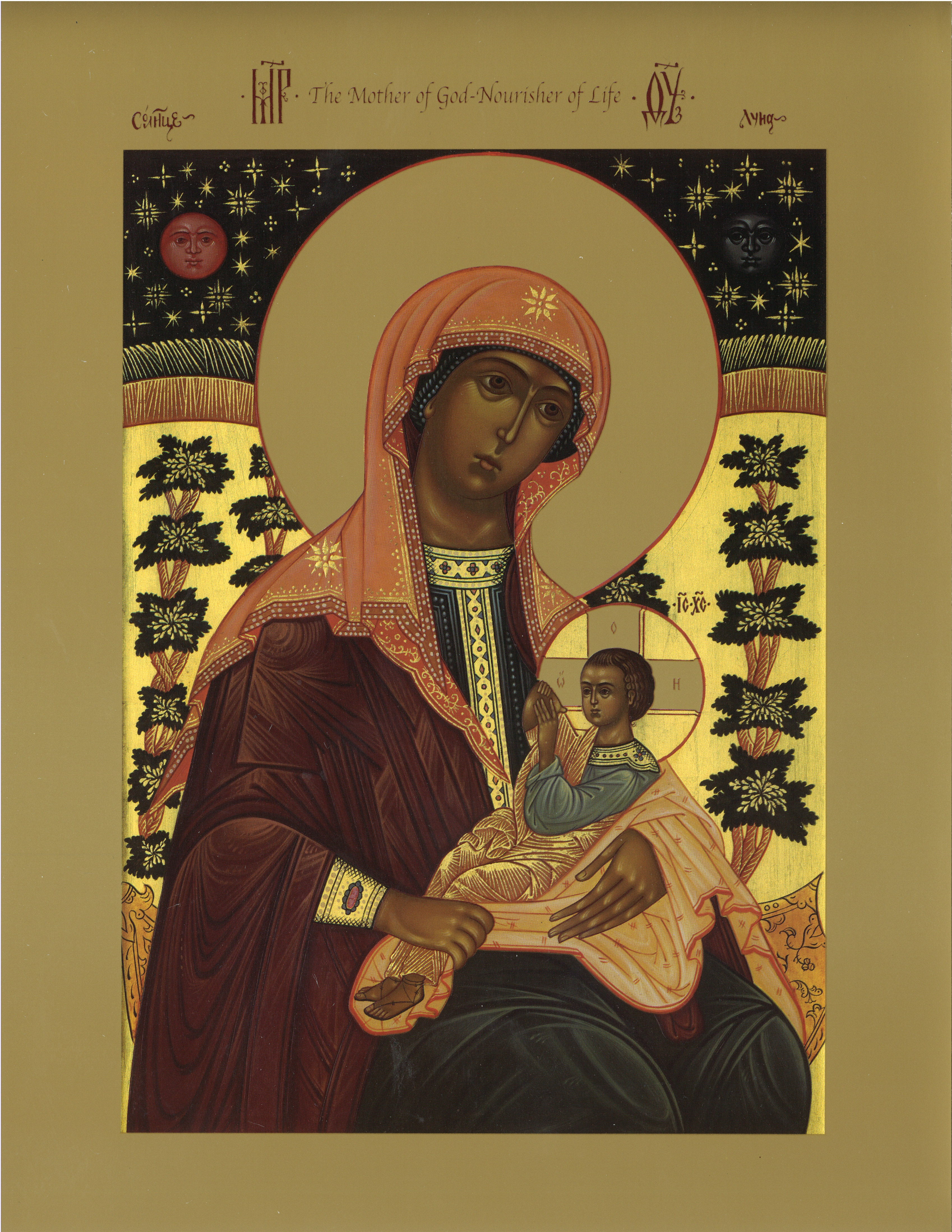 sanctity of life